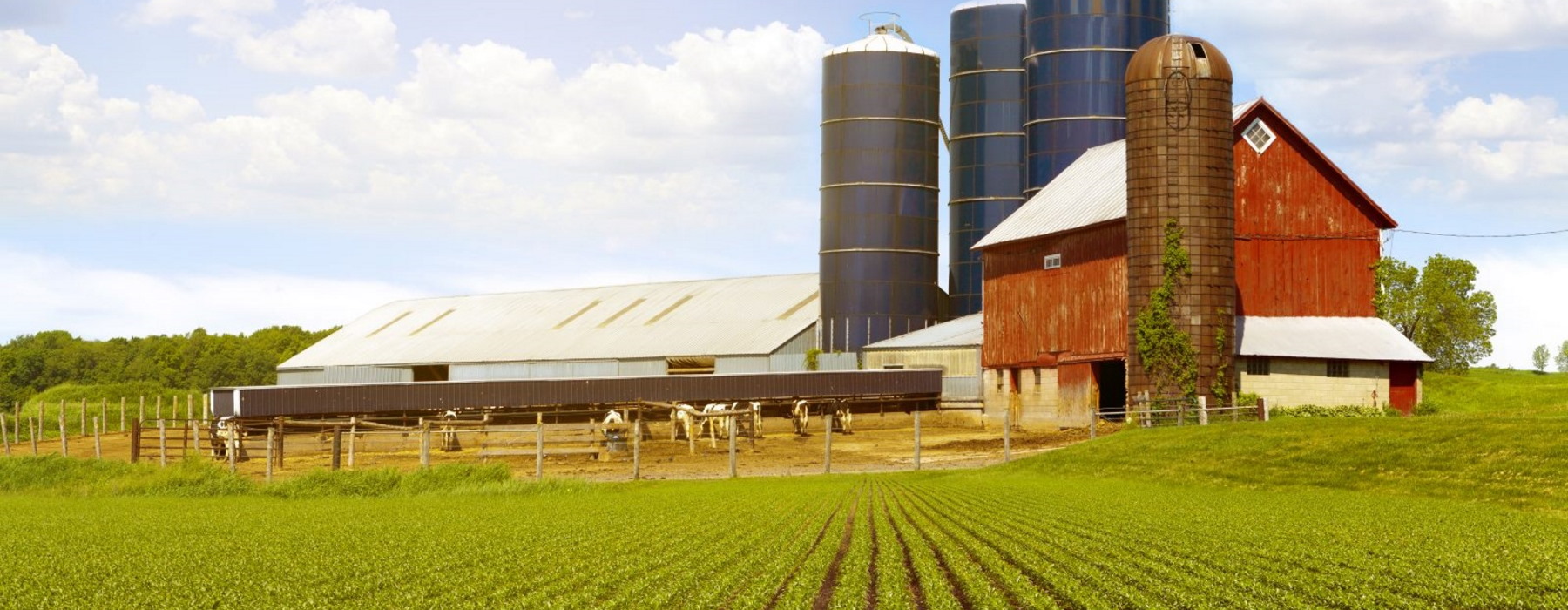 Car driving on the road