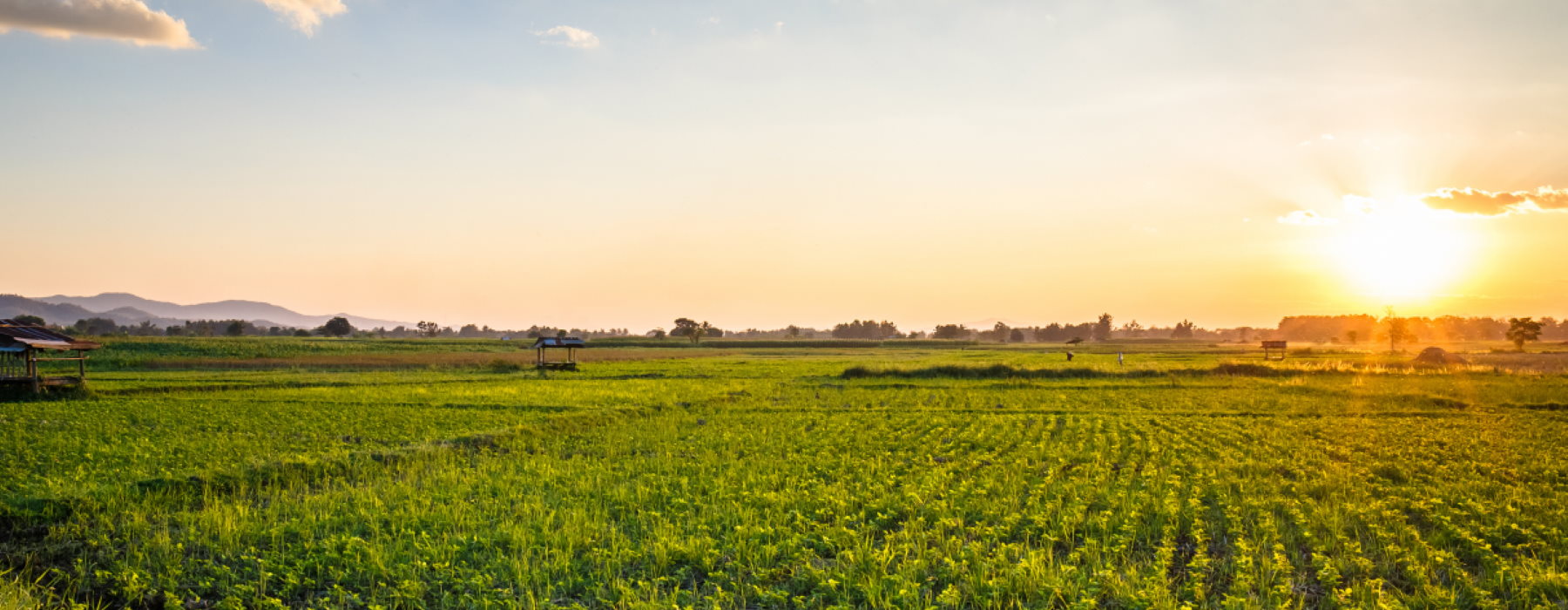 People attending business meeting